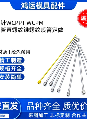 米标模具运水针WCPPT WCPM2 3 4冷却管直螺纹锥螺纹喷管定做