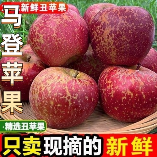 【新鲜糖心季】正宗云南冰糖心马苹果