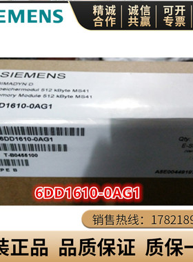 6DD1610-0AG1/0AH0/0AH3/0AH4/0AH6/0AK0西门子程序存储器模块