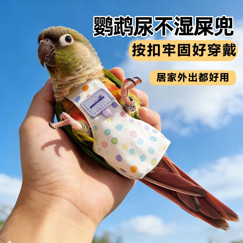 鹦鹉虎皮玄凤和尚小鸟尿不湿