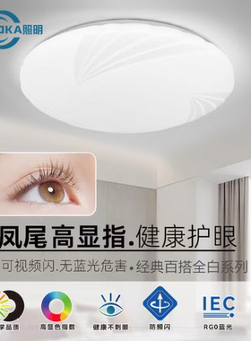 led吸顶灯圆形全白凤尾经典款卧室房间灯节能阳台走廊卫生间灯具