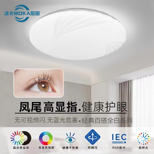 经典老款凤尾led圆形吸顶灯