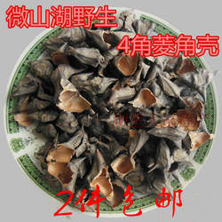 新货微山湖野生菱角带壳菱角菱角米菱角蒂干菱角四角菱角一斤包邮
