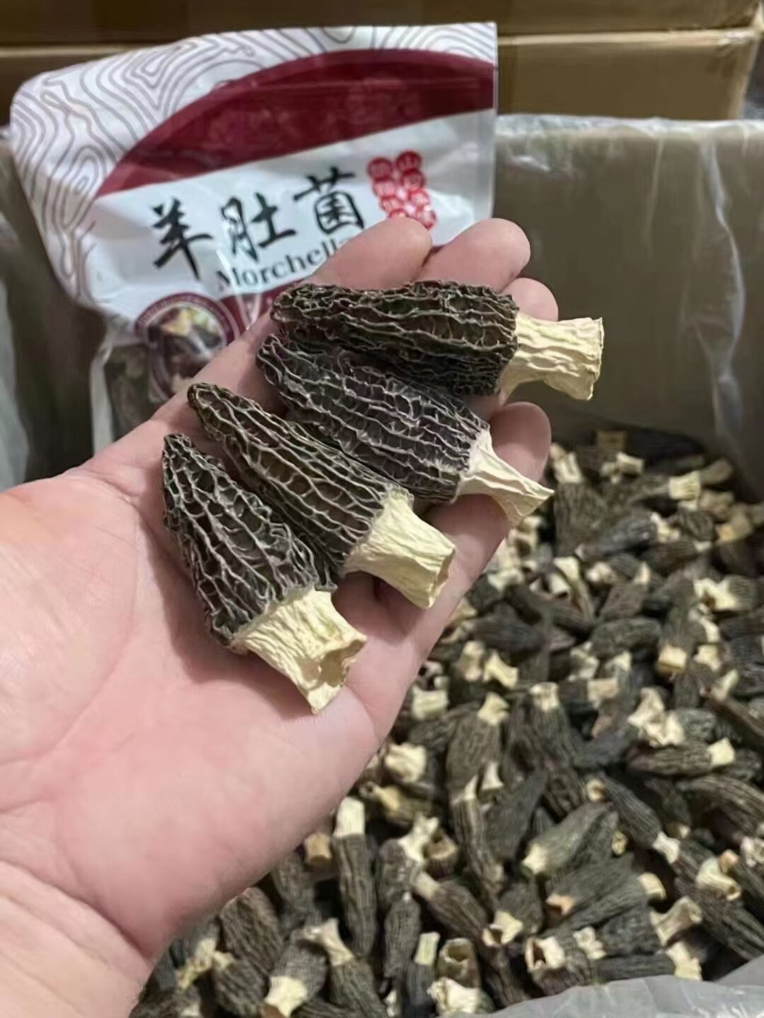 阳江海陵岛羊肚菌特级新鲜菌包邮