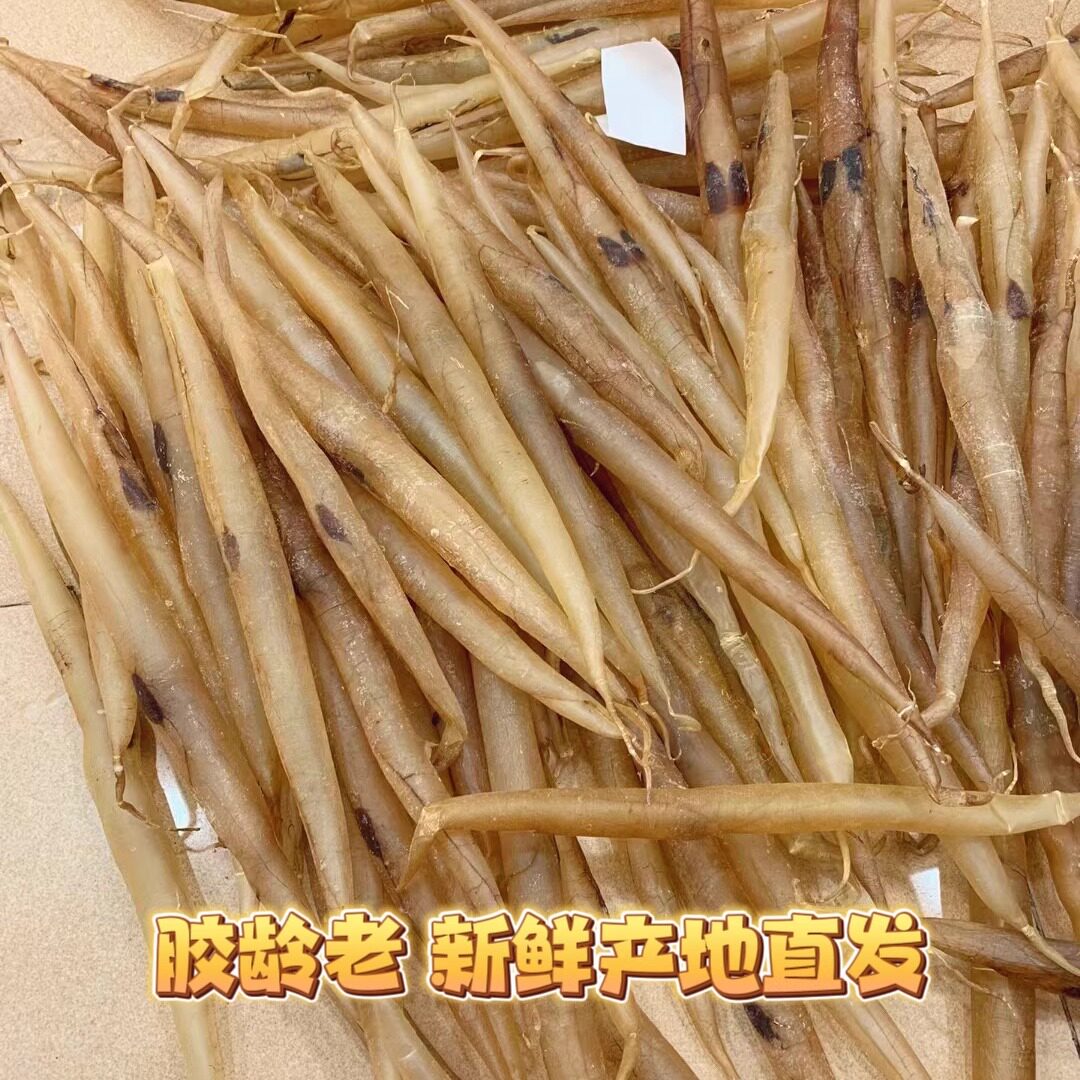 渔民自晒18头大条鳗鱼胶天然厚肉鳝肚胶鱼胶花胶鱼肚孕妇月子煲汤