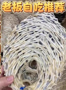 天然大号刺龟鱼皮 刺龟皮刺豚皮海胆皮鱼刺海刺海产干货煲汤养胃