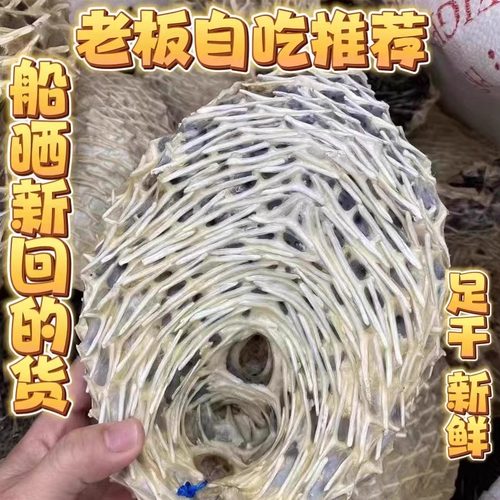 天然大号刺龟鱼皮 刺龟皮刺豚皮海胆皮鱼刺海刺海产干货煲汤养胃