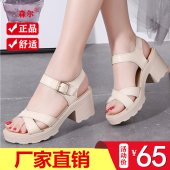厚底气质松糕一字带凉鞋 时尚 真皮软底百搭粗跟高跟女 韩版 2024夏季