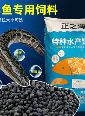 黑鱼饲料生鱼七星鱼乌鱼鸭嘴鱼