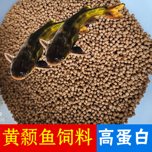 黄颡鱼专用饲料高蛋白上浮小颗粒黄骨鱼黄辣丁40蛋白养殖饲料增氧