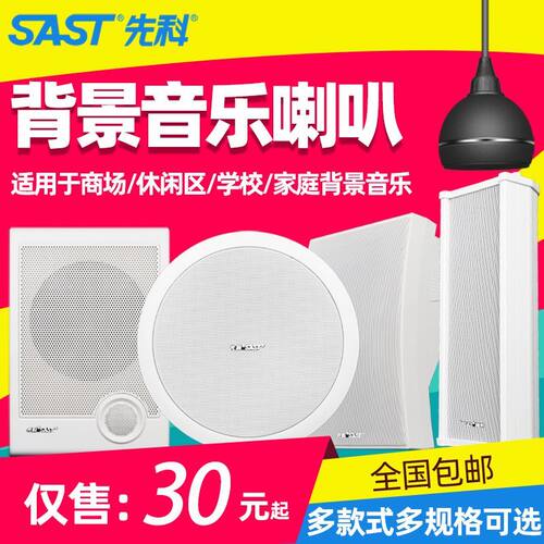 先科公共广播吸顶壁挂音柱喇叭