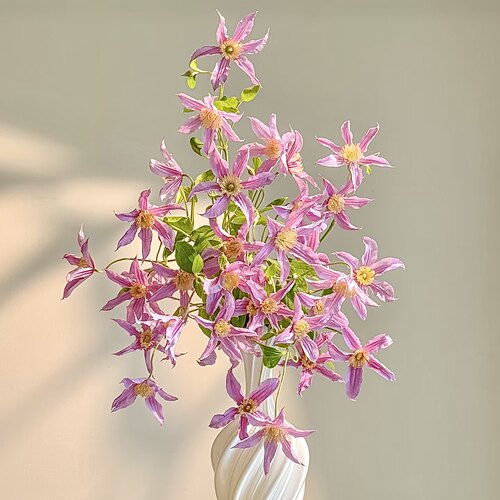 星河铁线莲甜心鲜花粉色居家用花