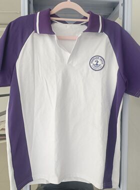 现货河南鲁山第一高级中学短袖校服棉带校徽班服polo衫紫色白T恤