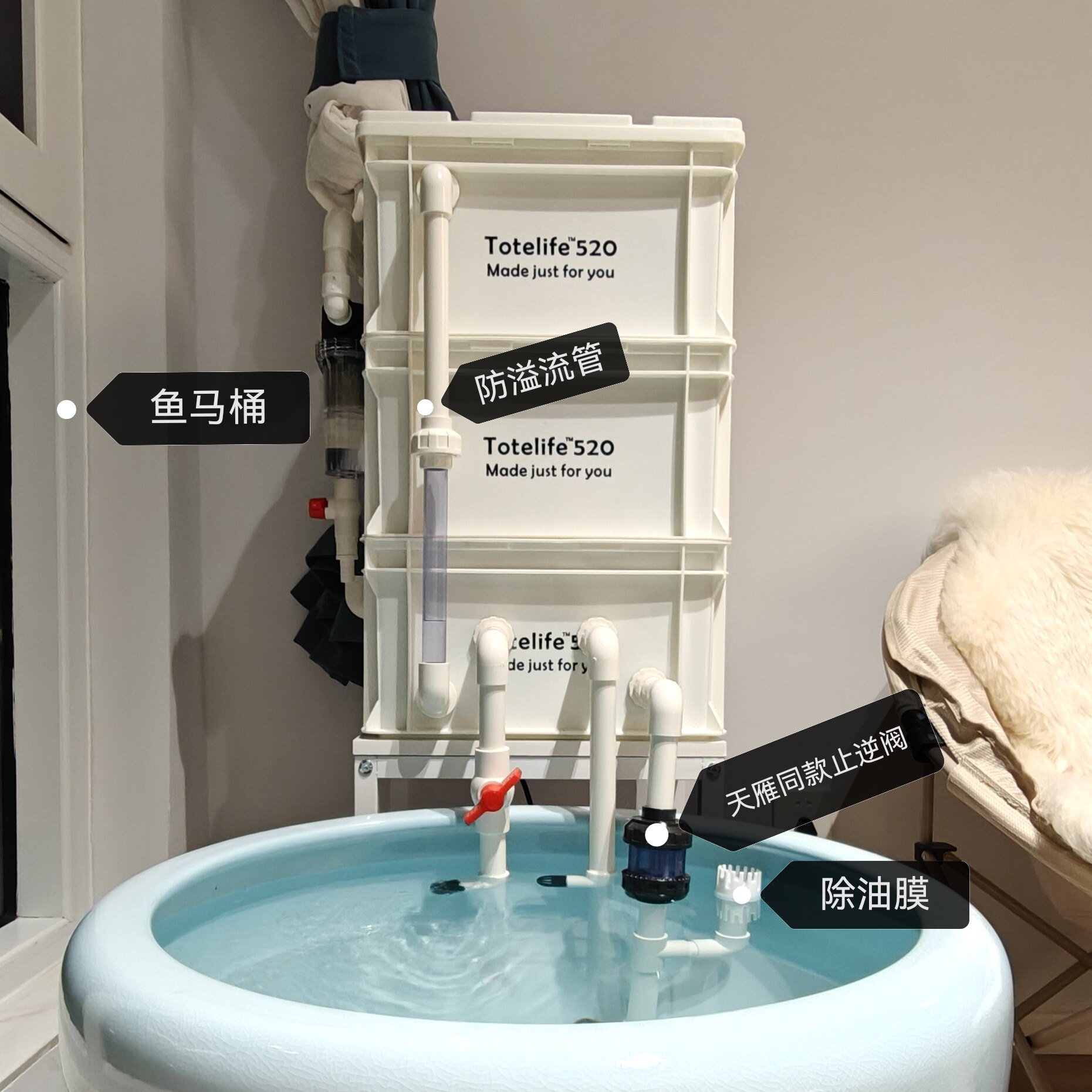 周转箱鱼缸过滤器滴流盒水池净水循环系统内置过滤盒鱼池过滤箱