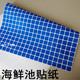 海鲜池蓝色格子纸马赛克贴纸海鲜池底部背面PP贴纸马赛克格子纸