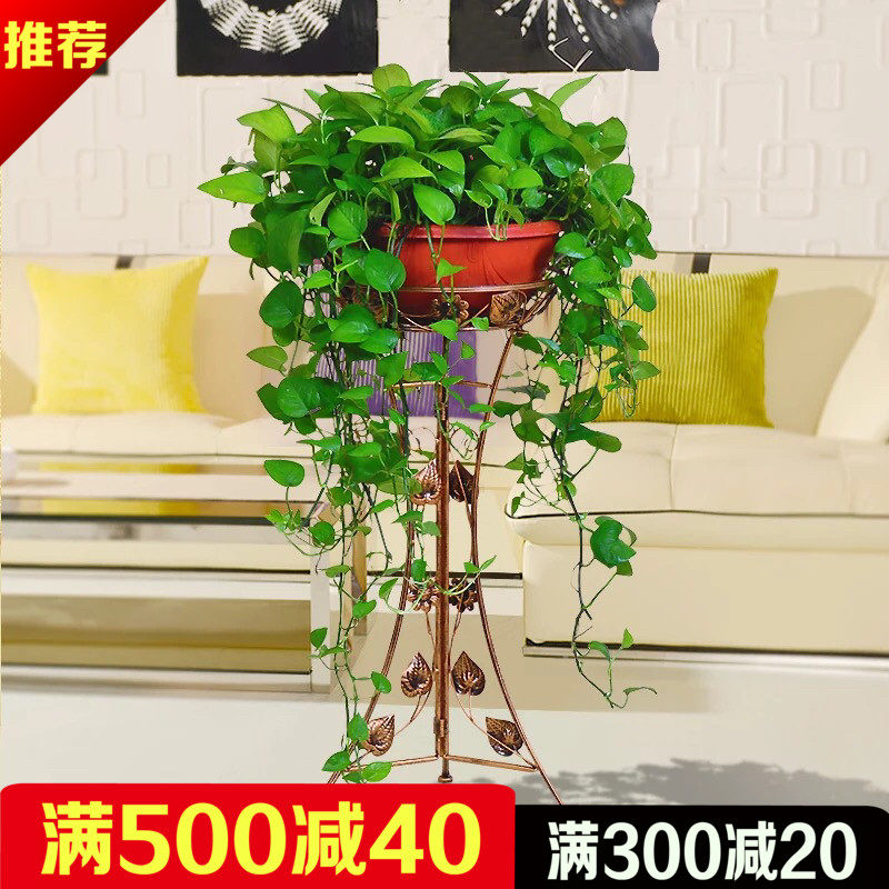 大绿萝盆栽大盆垂吊室内客厅卧室长藤大叶绿萝净化空气吸甲醛深圳在类目 鲜花速递/花卉仿真/绿植园艺, 花卉/绿植盆栽（新）, 绿植中 - 来自Buy2taobao.com提供专业的淘宝代购服务