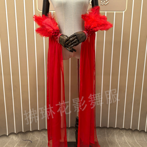 国示舞演出服定制手飘袖交谊舞服摩登比赛裙手臂羽毛配饰表演艺考