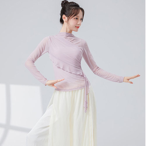现代古典舞长袖纱衣练功服半高领荷叶边修身网纱上衣身韵舞蹈服女