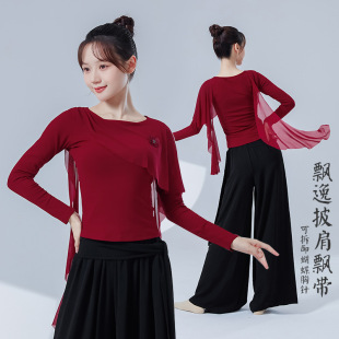 现代古典舞长袖演出服飘逸网纱形体练功服学生身韵仙气上衣舞蹈服