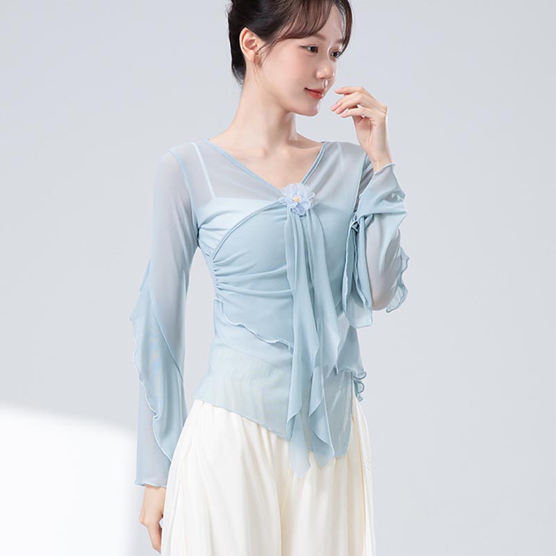 中国古典舞练功服女网纱上衣V领设计感喇叭袖国风演出服舞蹈服装