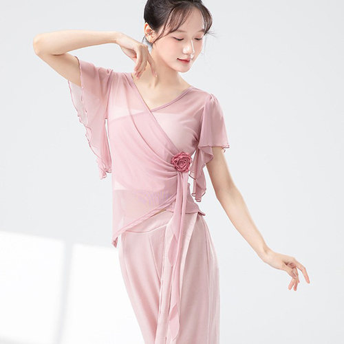 夏季短袖舞蹈服飘逸网纱上衣中国民族古典舞交叉V领纱衣演出服女