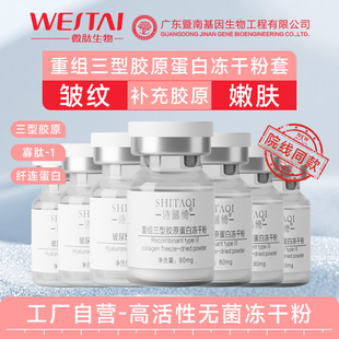 暨大8万活性 三型胶原蛋白冻干粉 紧致 凹陷法令纹抚平修冻护干粉