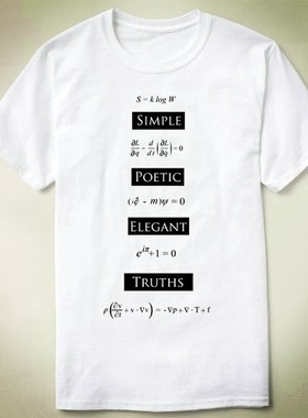 Physics 物理Simple Poetic Elegant Truths Science T-Shirt T恤