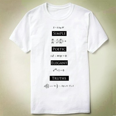Physics 物理Simple Poetic Elegant Truths Science T-Shirt T恤