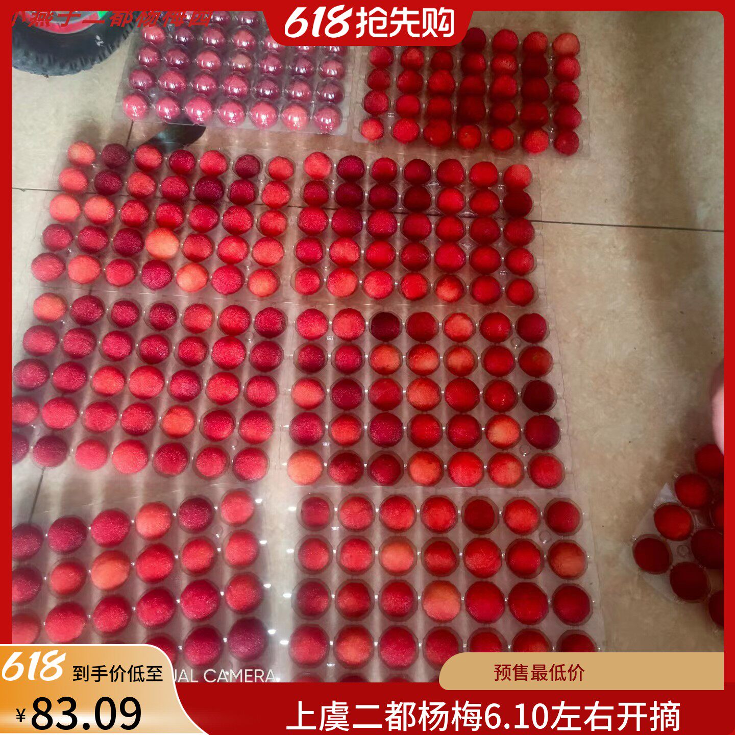 2026上虞正宗二都新鲜真山杨梅水晶杨梅送礼佳品白杨梅顺丰颗粒装