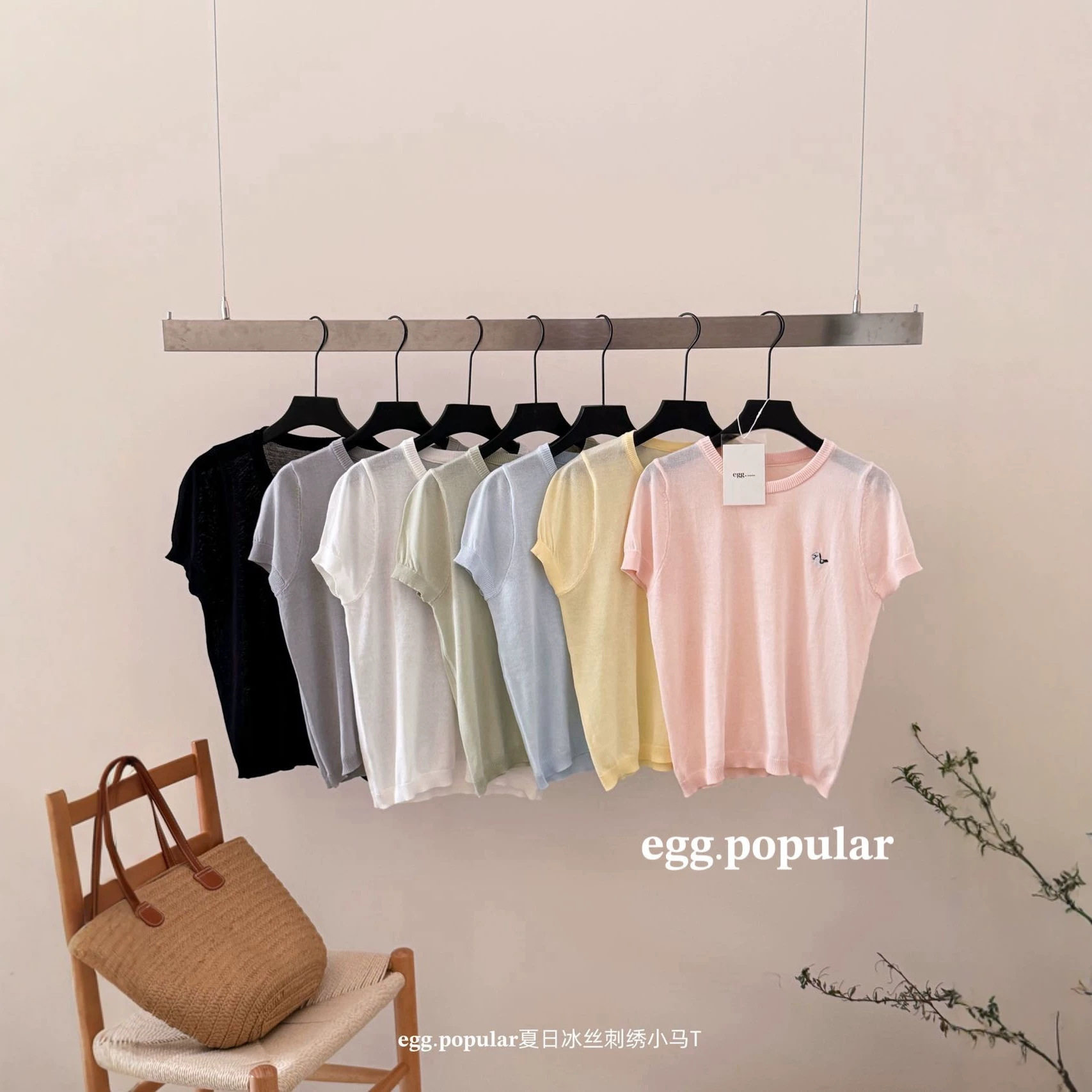 egg.popular夏日冰丝刺绣小马T恤女薄新凉感显瘦百搭圆领短袖上衣图片