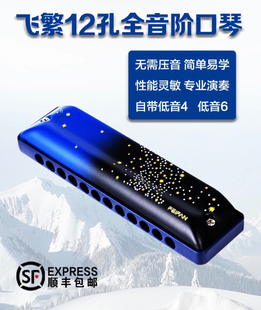 飞繁feifan十二孔口琴正品初学者成人蓝调专业演奏级乐器