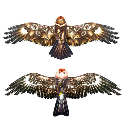 鲁缘盘鹰风筝画面画片