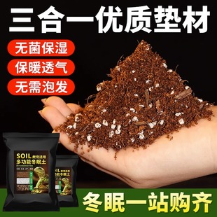 爬宠椰土乌龟冬眠土寄居蟹专用饲养箱巴西龟蜘蛛用品椰砖蜗牛过冬