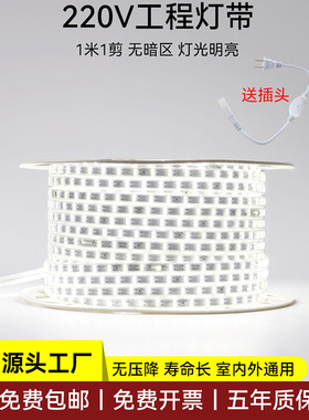 极木220v高压灯带led灯条家用客厅超亮外墙商用室外户外庭院防水