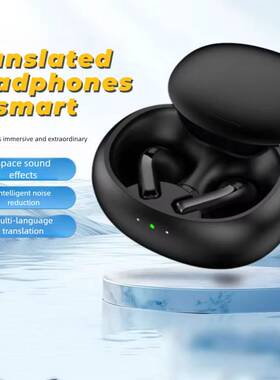 Language Translation AI Speech Translation Business Offline