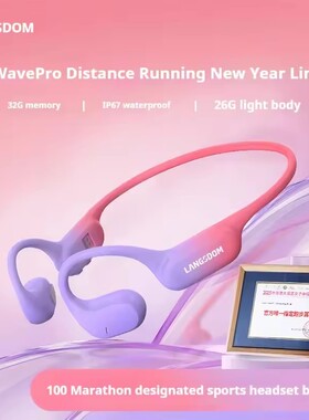 Headphone AI Noise Reduction Bone Conduction Sports Earphone