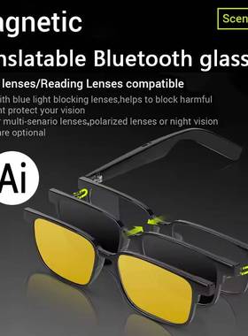 voice translation glasse ai translate polarizer sunglasses