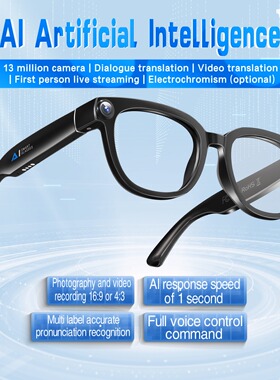 AI Smart Glasses 13MP Camera Translation sunglasses earbuds