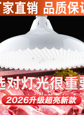 新国标led鲜肉熟食店专用补光灯