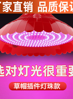 厂家直销LED红白光超亮E27螺口大功率红黄光节能照明吊灯
