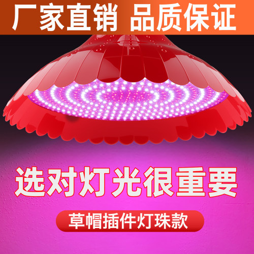 厂家直销LED灯红白光超亮红黄光