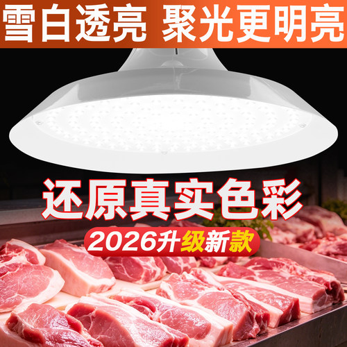 2026新款国标LED白光灯提鲜增色