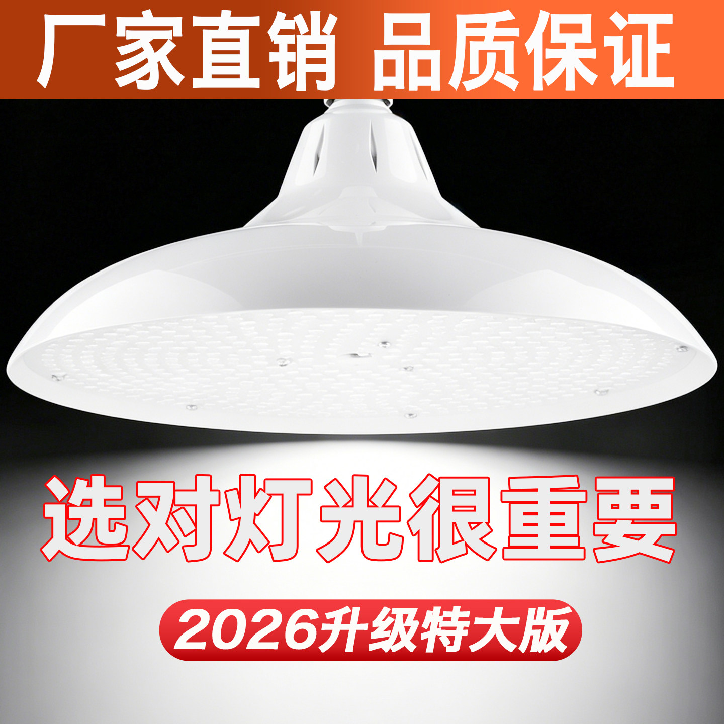 新国标led猪肉照明灯熟食补光灯