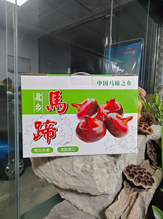 批发零售马蹄箱 乐昌北乡马蹄箱十斤装特厚礼盒纸箱 送礼箱快递箱
