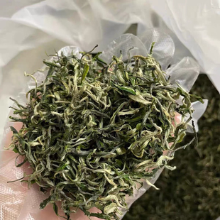 2025年头春春茶新茶一叶一芽乐昌白毛尖茶叶头批明前春茶