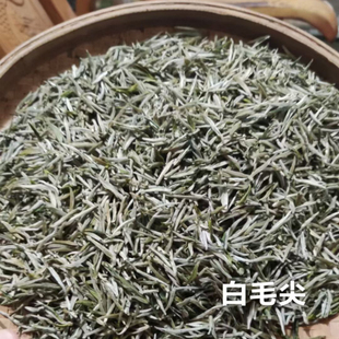 2025年头春白毛尖春茶新茶乐昌 纯芽尖 茶叶碧螺春头批明前嫩叶