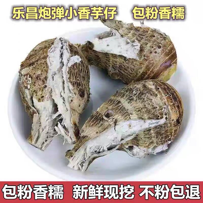 广东乐昌小香芋仔韶关芋头新鲜小芋头现挖农家粉糯槟榔芋仔芋艿