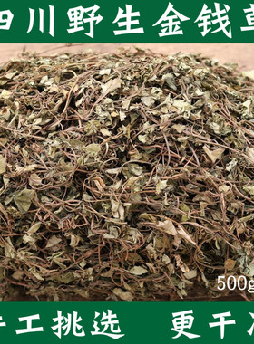 中药材金钱草500g中草药四川正宗野生大叶金钱草干茶过路黄干草