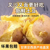 甘肃2025定西新鲜现挖高山土豆蔬菜沙面洋芋马铃薯农家黄皮现发