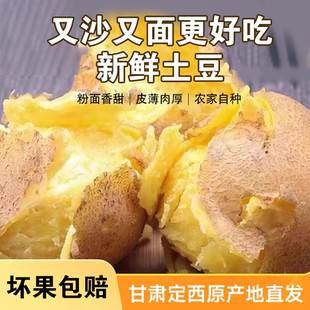 甘肃2026定西新鲜现挖高山土豆蔬菜沙面洋芋马铃薯农家黄皮直发